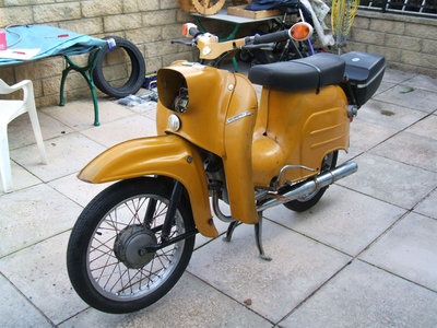 yellow-sc-1.JPG