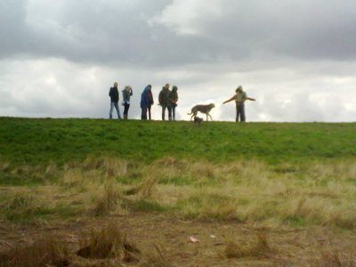 04042010392.jpg