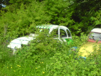 Cool 2cv photos-Peter Cross'paddock 002.JPG