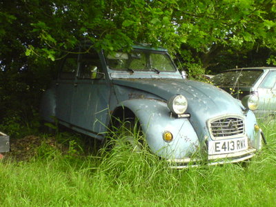 Cool 2cv photos-Peter Cross'paddock 010.JPG
