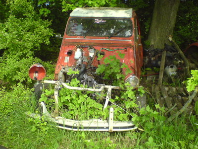 Cool 2cv photos-Peter Cross'paddock 011.JPG