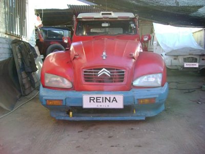Reina Chile.jpg
