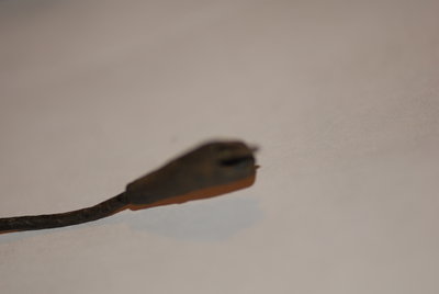 DSC_0026.JPG