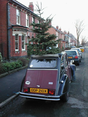 Ronald Christmas Tree.jpg