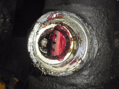 PB060083.JPG
