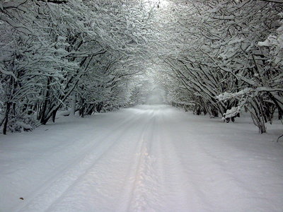 image315.jpg