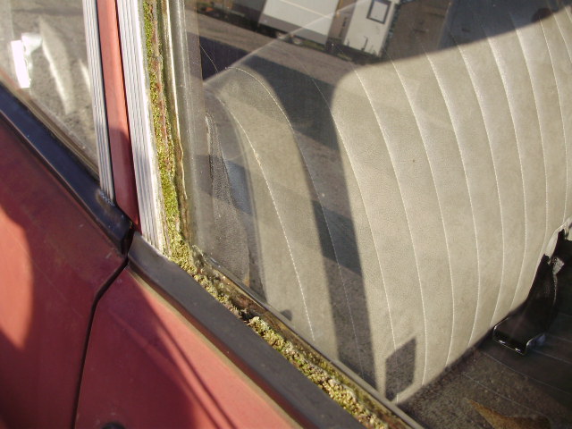 P6042494.JPG