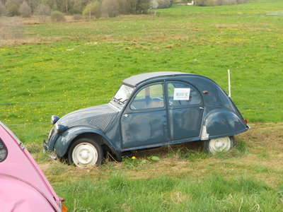 187.JPG
