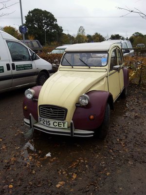 28-10-12 Blooms Garden Centre spot.jpg