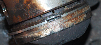 close up 001.jpg
