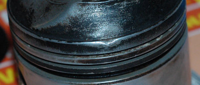 close up 002.jpg