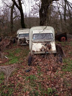 IMG_0193.jpeg