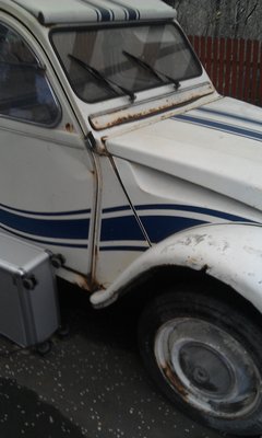 IMAG0288.jpg