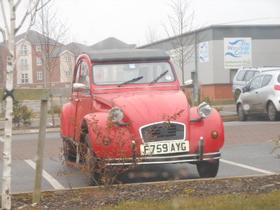 ashbourne red spesh 002.jpg