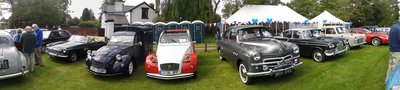 transport festival.jpg