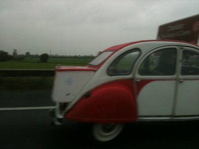 Spotted2CV1.jpg