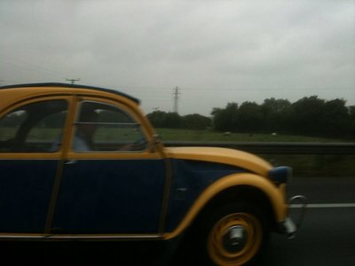 Spotted2CV2.jpg