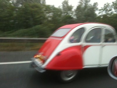 Spotted2CV3.jpg