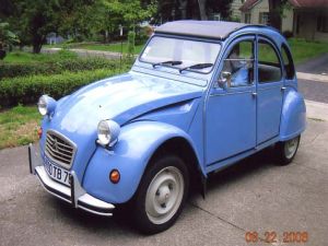blue 2cv in mind.jpg
