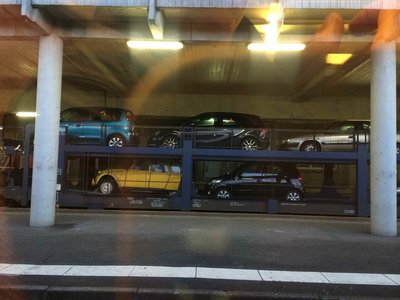 IMG_1134.jpg