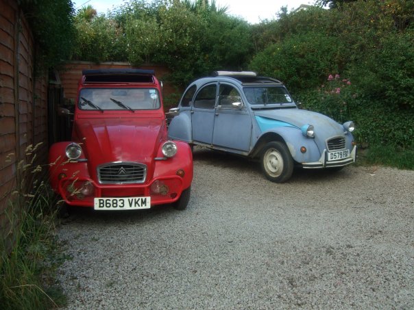 2 2cv's.jpg