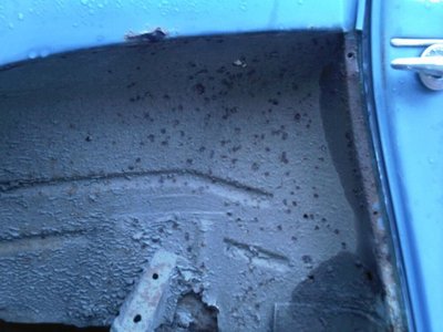 molly 2cv today 2.jpg
