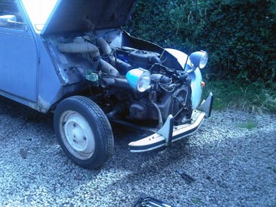 2cv - wing molly.jpg