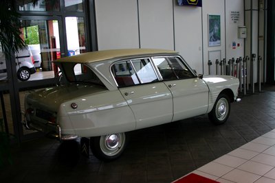 IMG_3260rs.jpg
